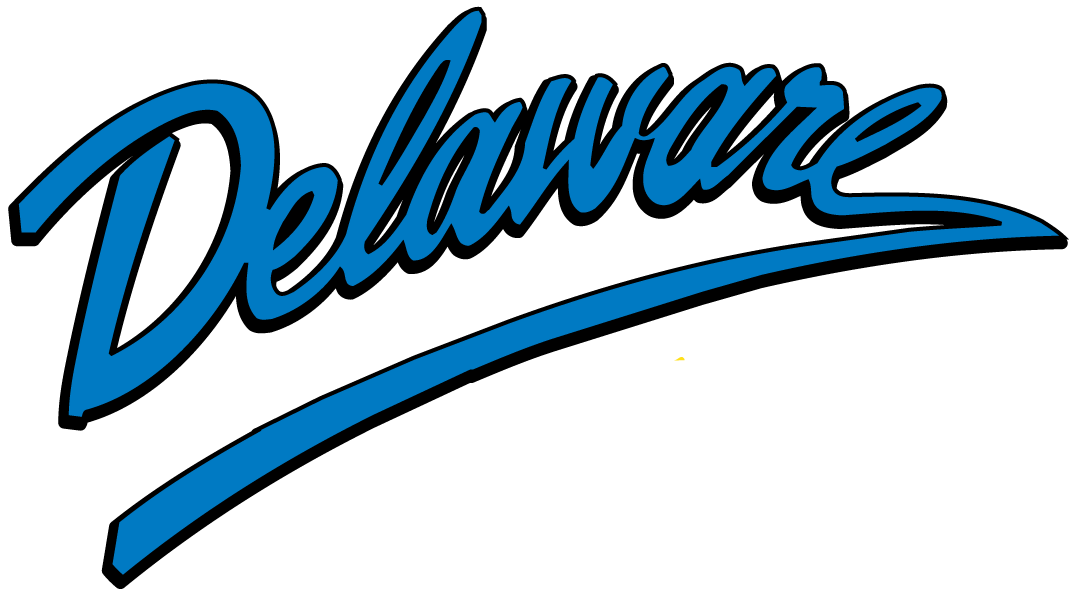 Delaware Blue Hens 1999-Pres Wordmark Logo iron on paper